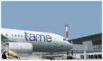 FS2004/FSX Airbus A320 Tame Textures